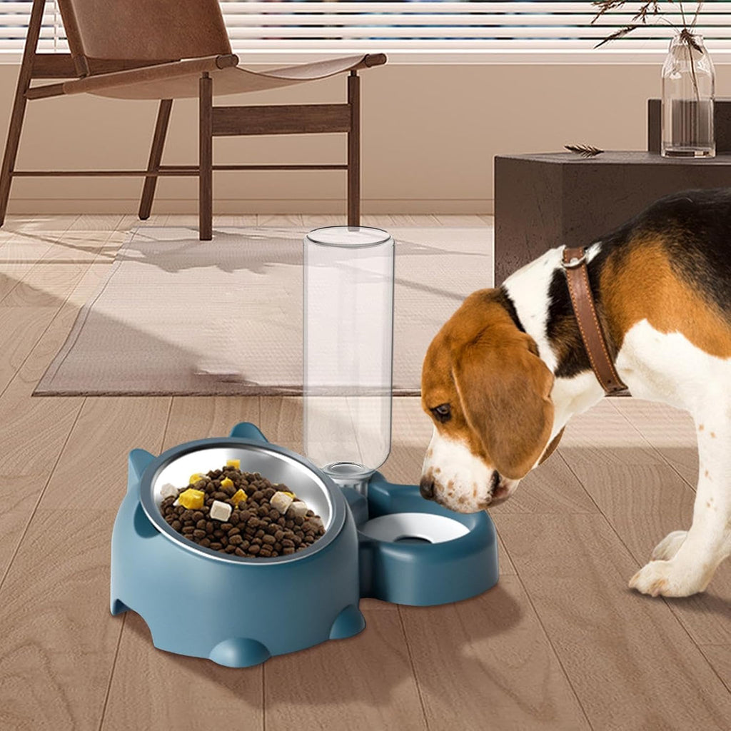 Cat Food And Water Bowl Set - 16 Degree Tilted Dog Dish With Water Dispenser