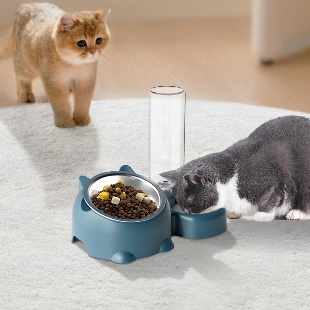 Cat Food And Water Bowl Set - 16 Degree Tilted Dog Dish With Water Dispenser