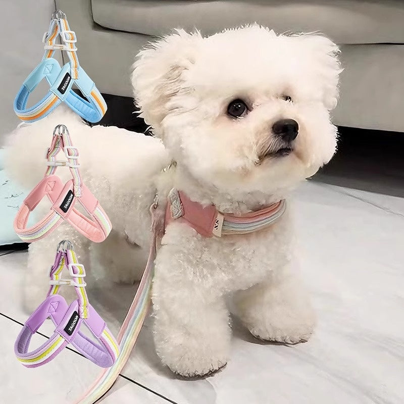 Breathable Dog Leash  Harness Set  Colorful Rainbow Contrast Design For Small To Medium Dogs