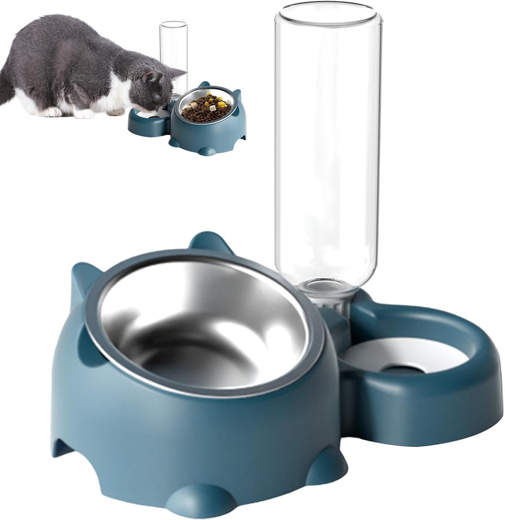 Cat Food And Water Bowl Set - 16 Degree Tilted Dog Dish With Water Dispenser
