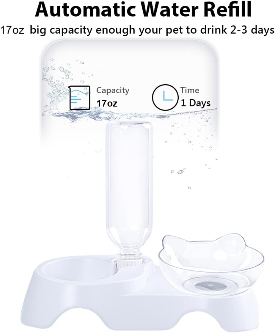 Double Dog Cat Bowls Pets Water And Food Bowl Set 15 Tilted Water And Food Bowl