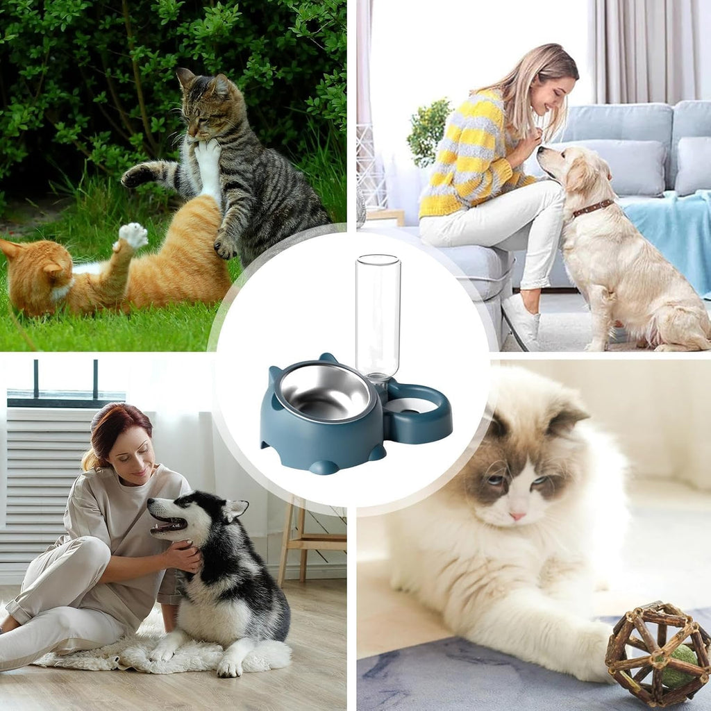 Cat Food And Water Bowl Set - 16 Degree Tilted Dog Dish With Water Dispenser