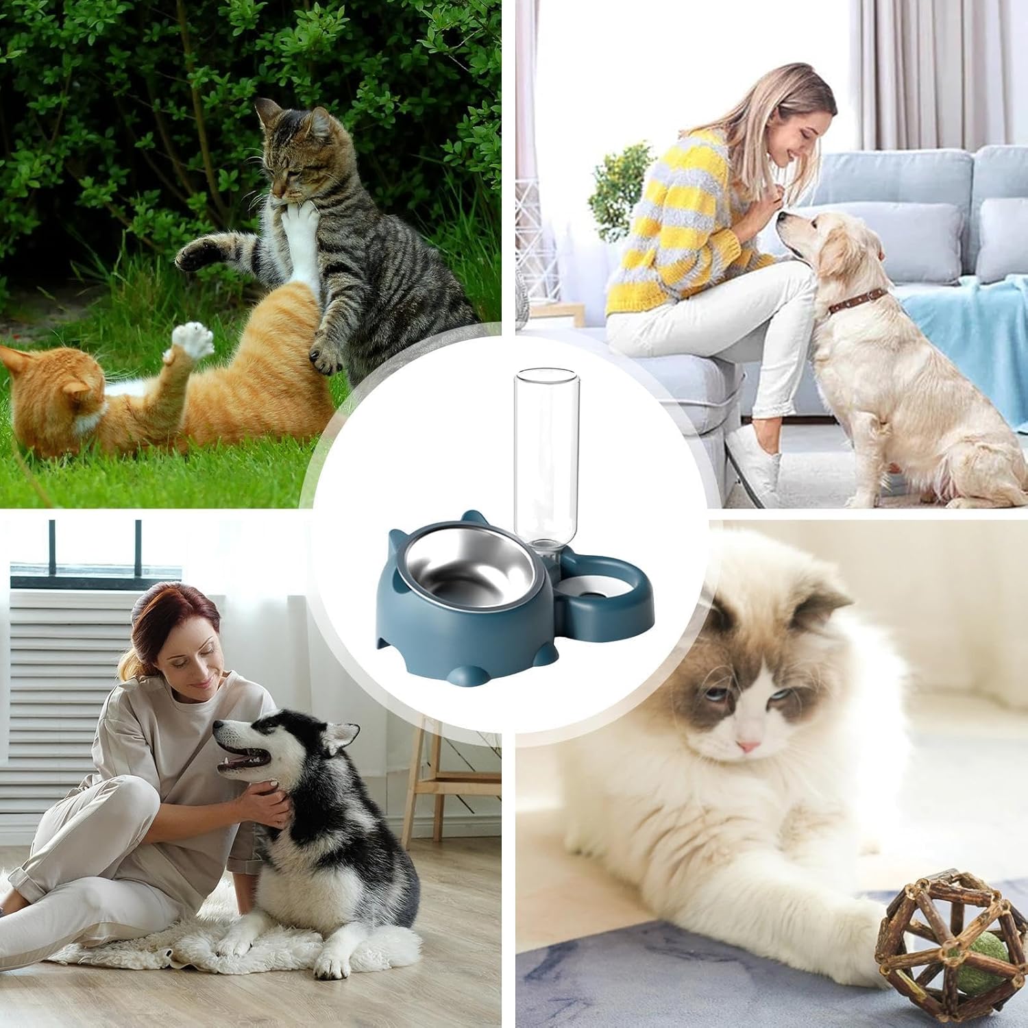 Cat Food And Water Bowl Set - 16 Degree Tilted Dog Dish With Water Dispenser