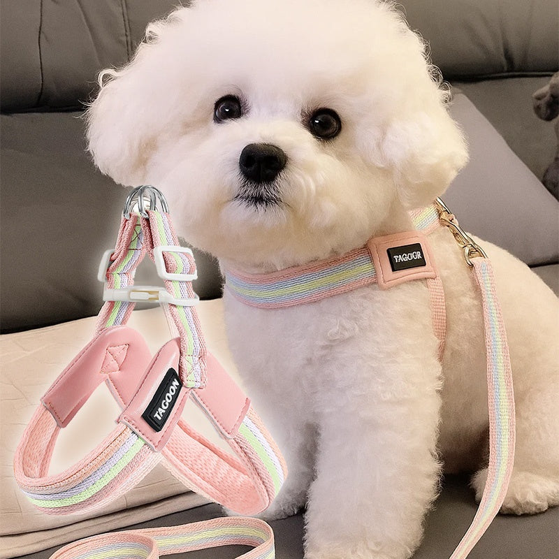 Breathable Dog Leash  Harness Set  Colorful Rainbow Contrast Design For Small To Medium Dogs