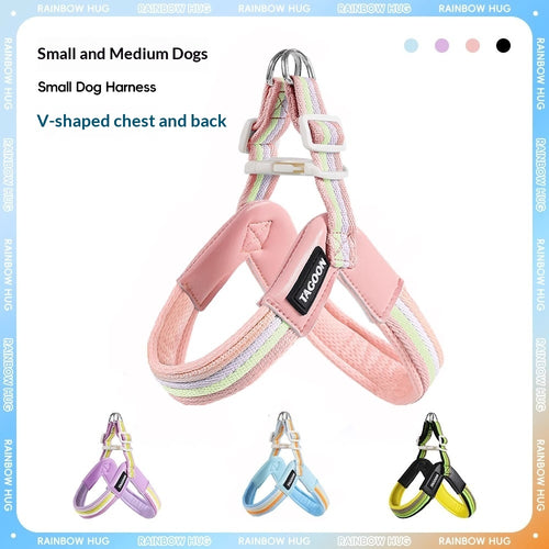 Breathable Dog Leash  Harness Set  Colorful Rainbow Contrast Design For Small To Medium Dogs