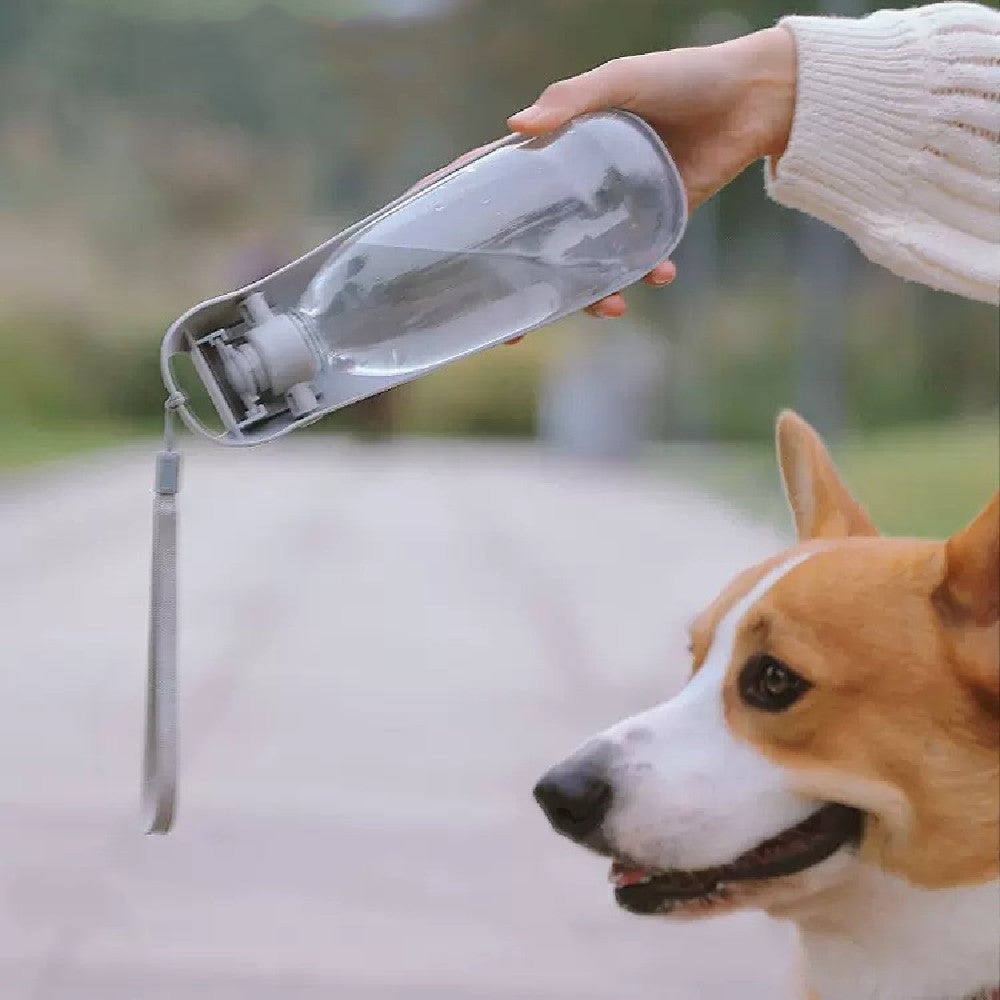 Portable Dog Water Bottle For Travel Walking Running Puppy